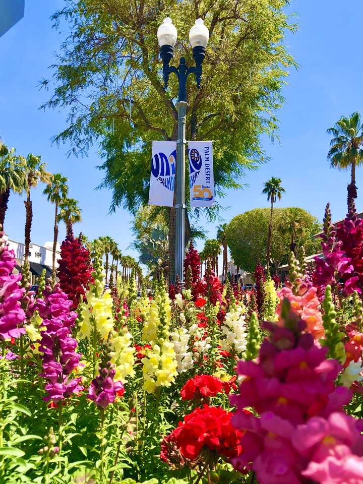 Palm Desert California