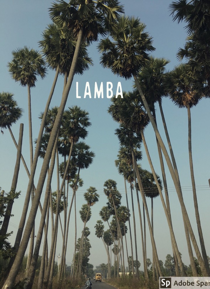 Palm welcome !
