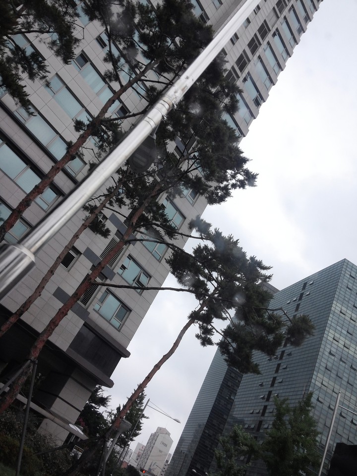 서울 부도심