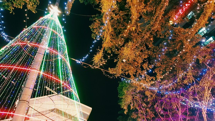 christmas lights