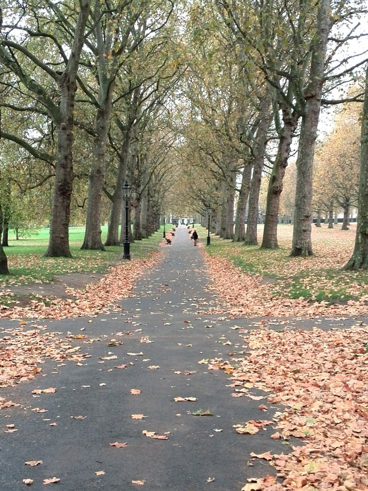 Autumn