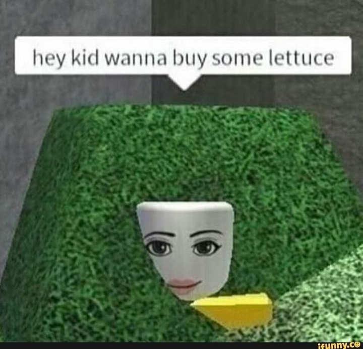 lettus