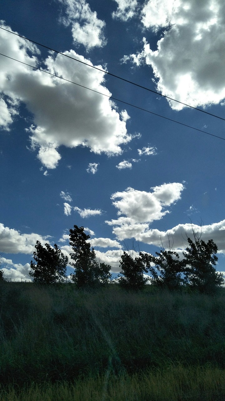 daytime sky