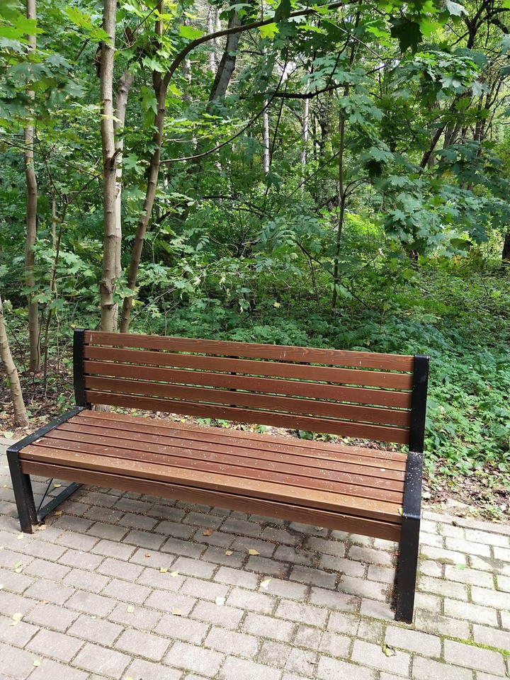 Bench