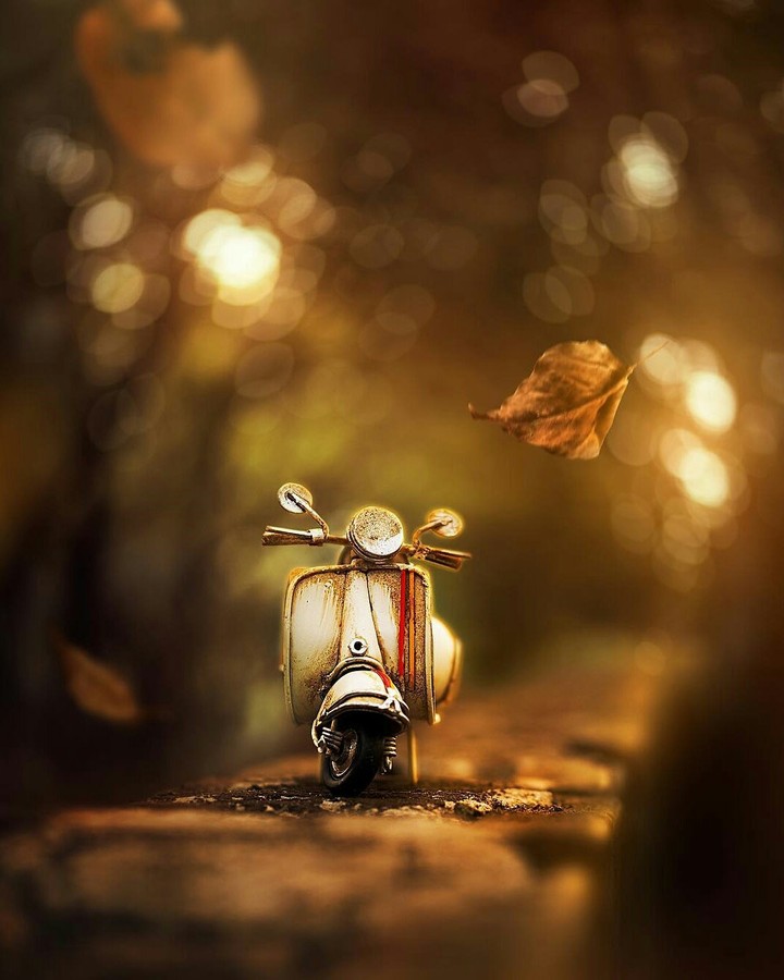 фото