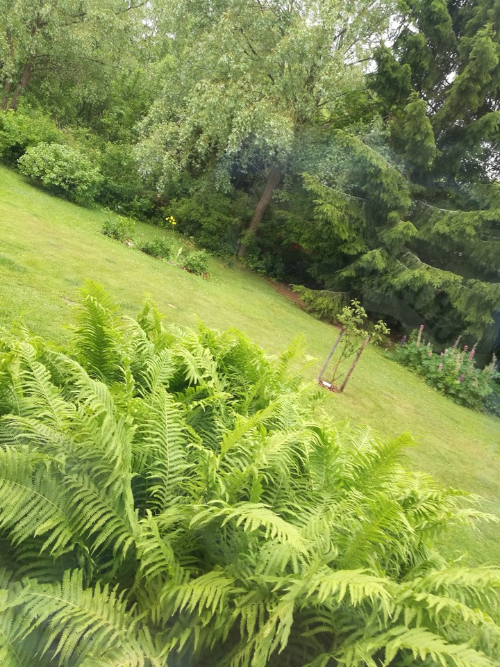 Nature
