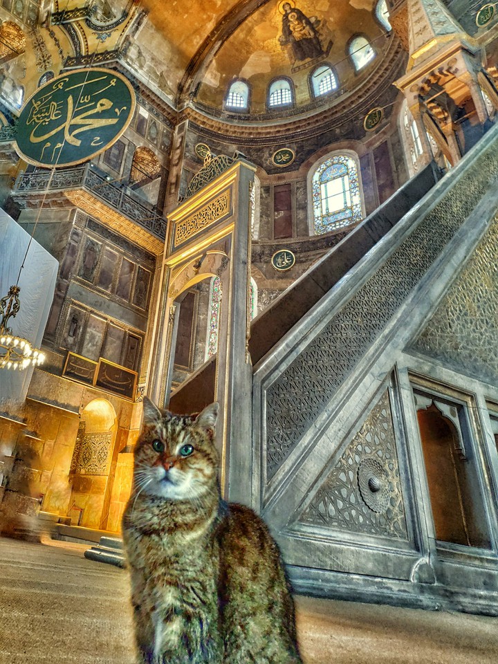 Gilly protector of Hagia Sophia