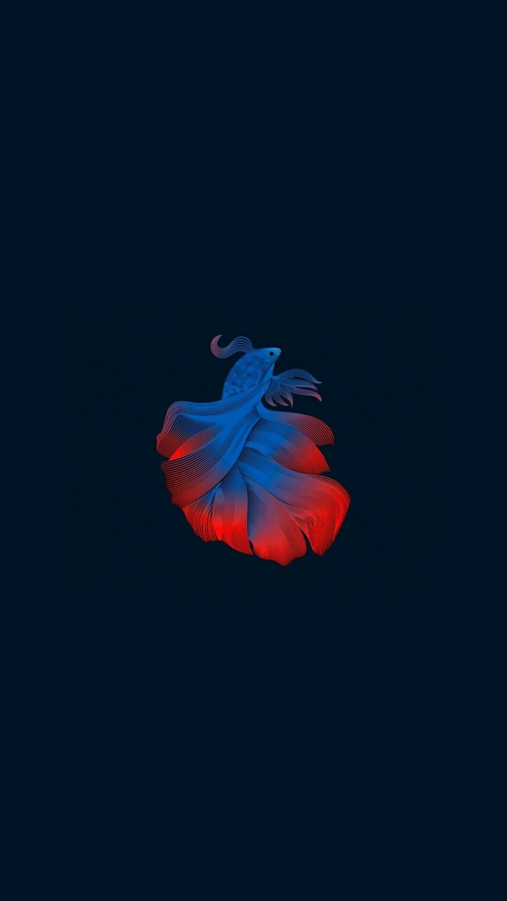 red blue fish