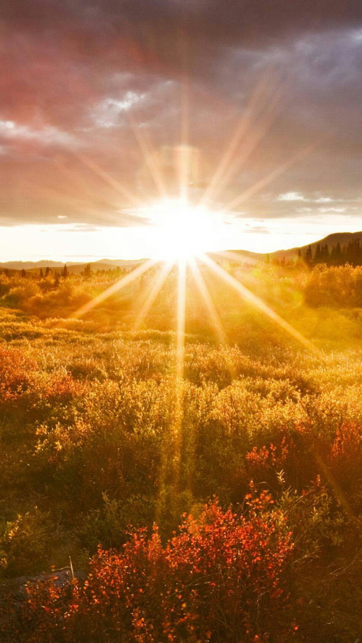 Mañana brillante