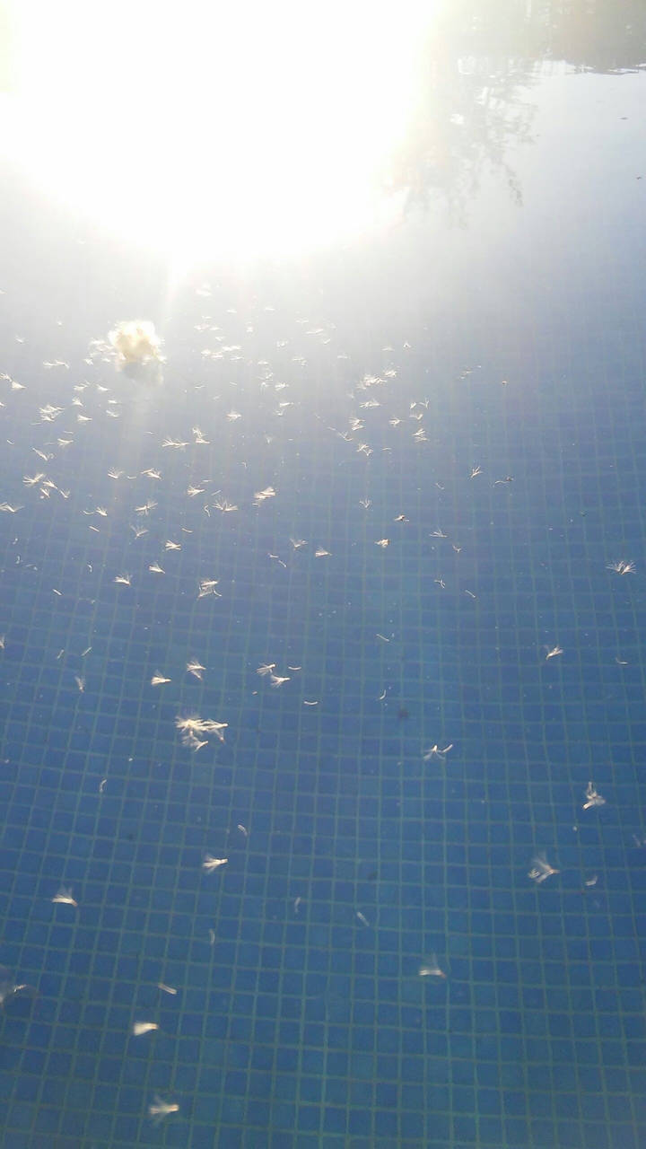 water