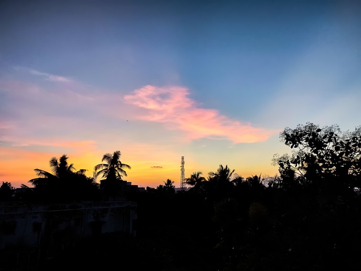 sunset