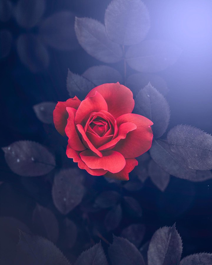 ❤️