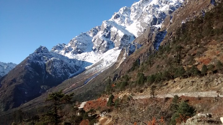 Yumthang Vally