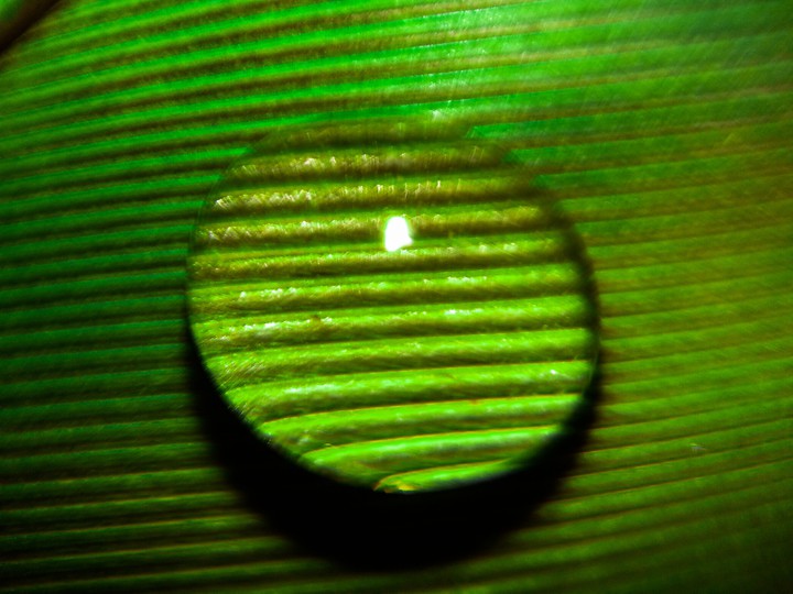 water drop