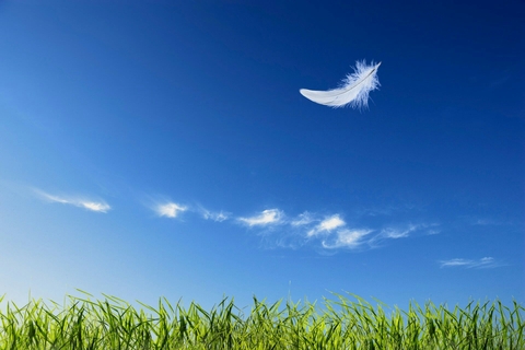 sky
