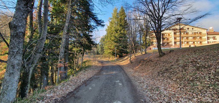 Winter walk.