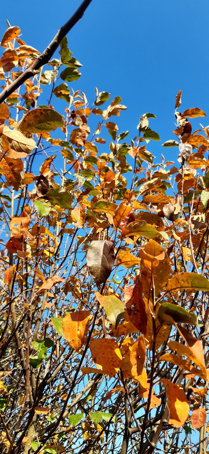October