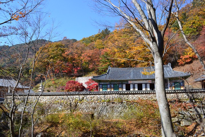 산이미지