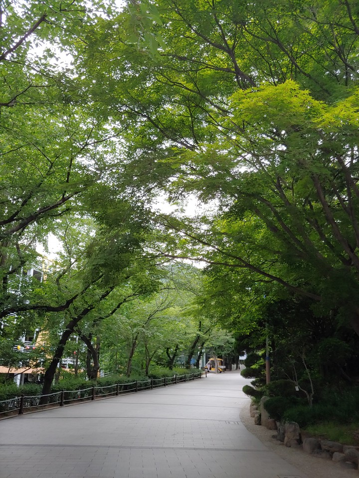 공원1