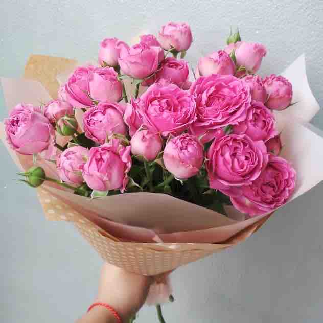 rose