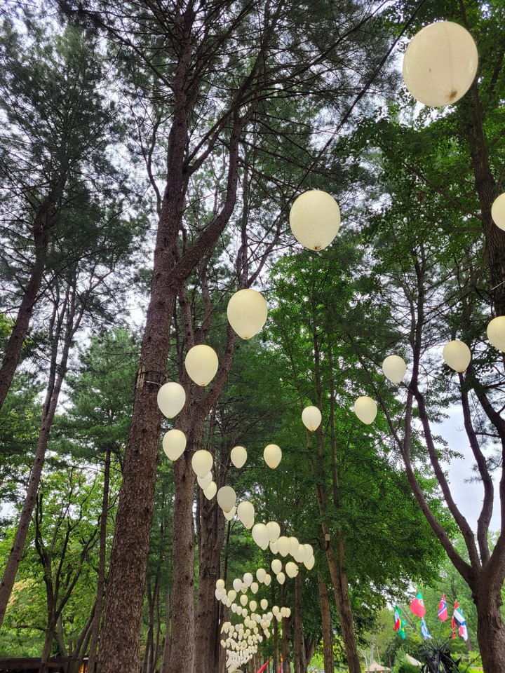 남이섬