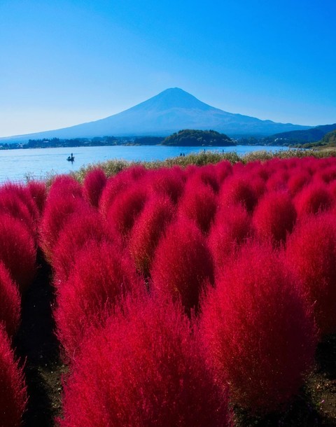 kokia, landscapes壁紙