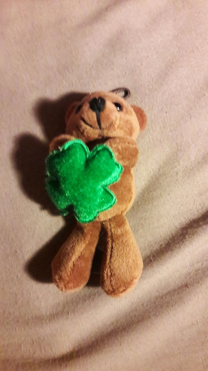 teddy