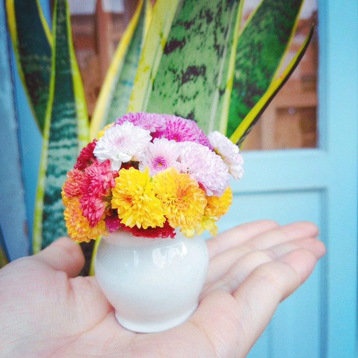 little flowers