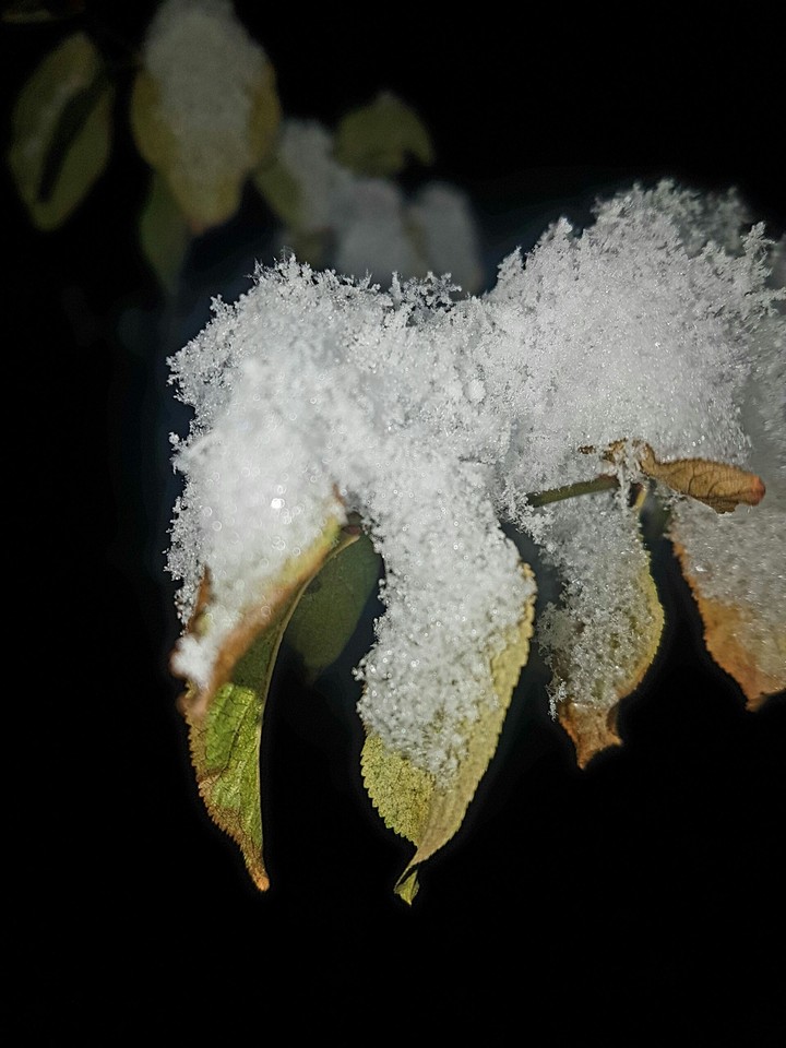 snow
