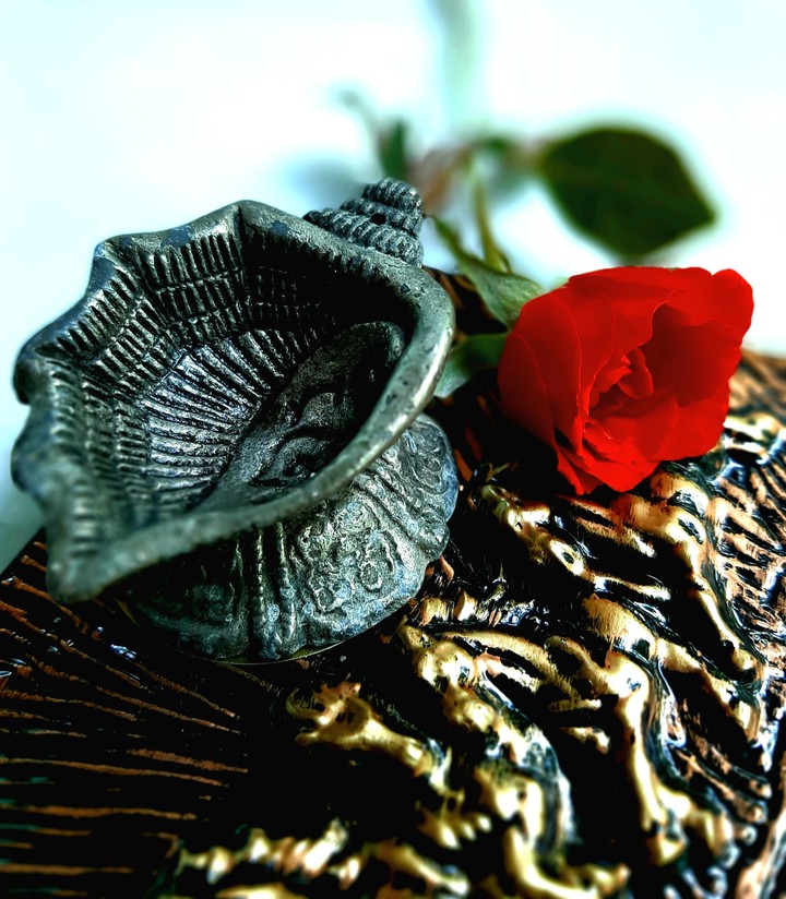 Bronzey rose
