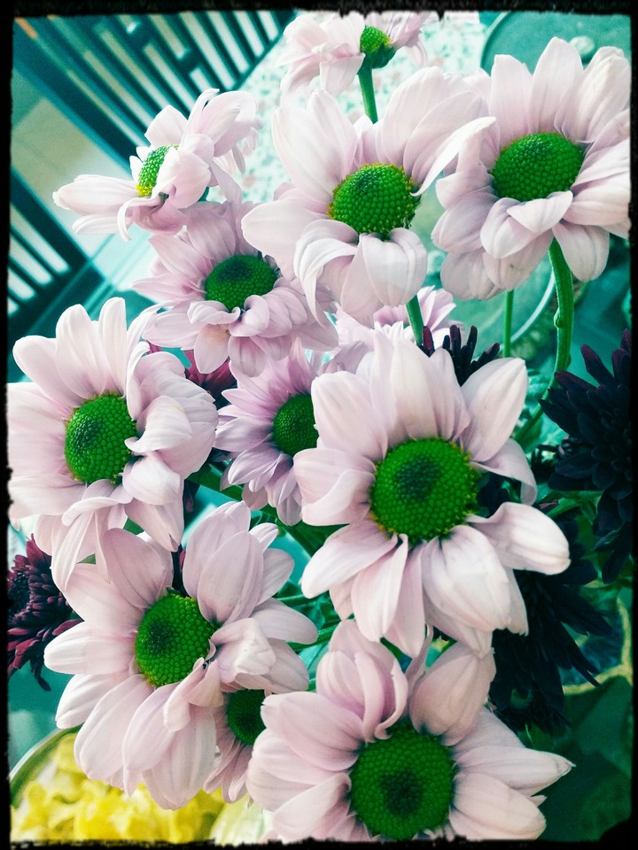 fresh new day
