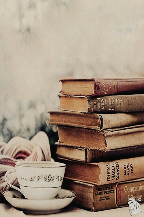 Libros en estante