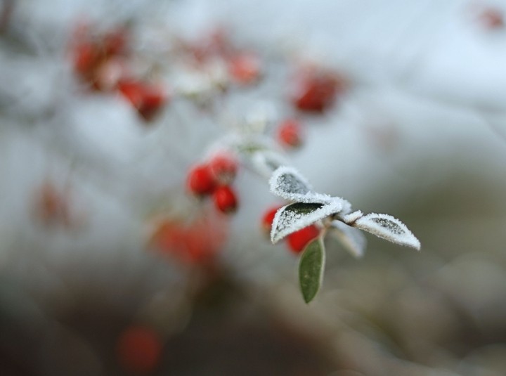 겨울 산들바람