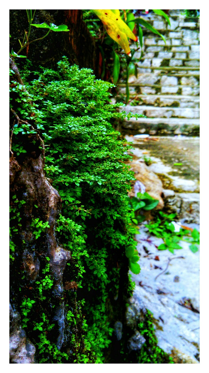 green