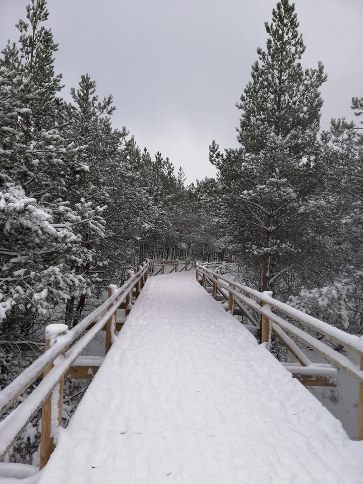 winter