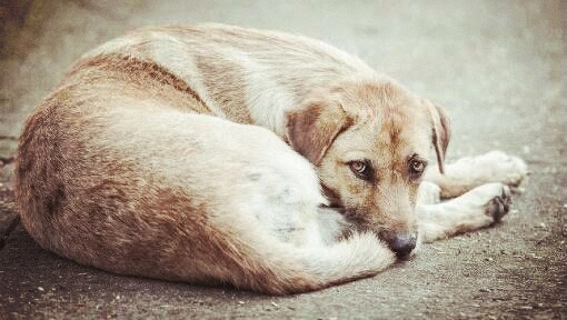Sad
