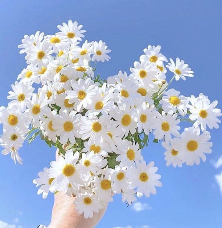 ❤️❤️