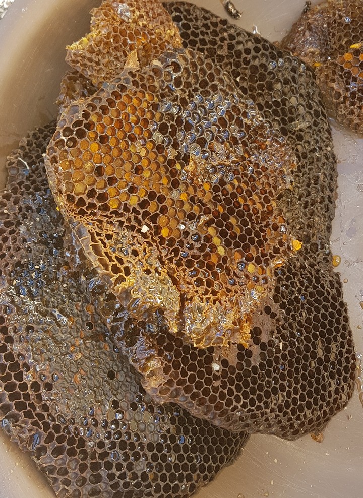 العسل