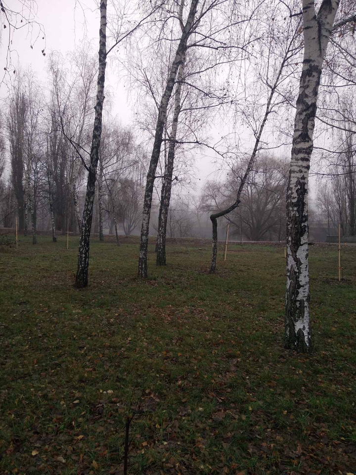 Осень