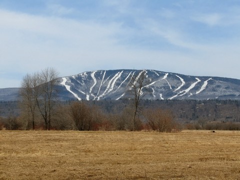papéis de parede massif, winter