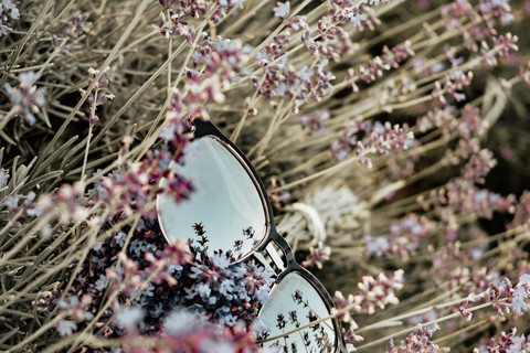 Lavender