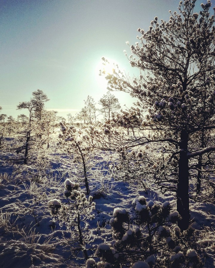 Beautiful morning