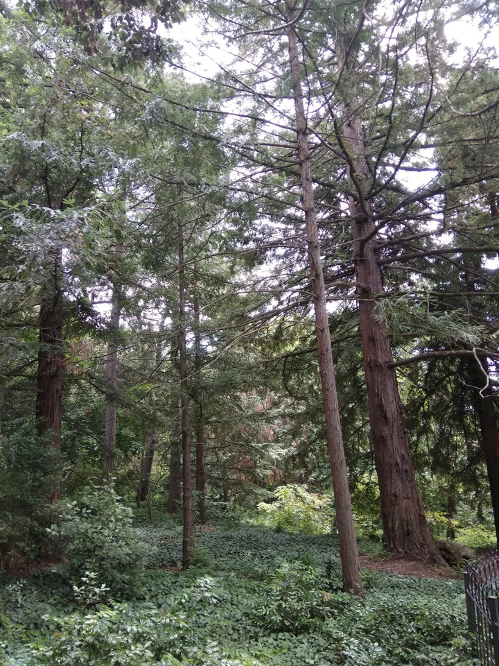 nature
