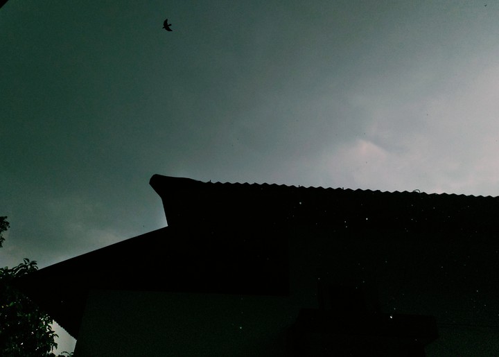Night is falling