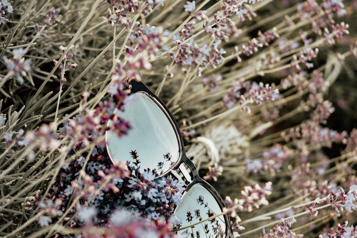 Lavender