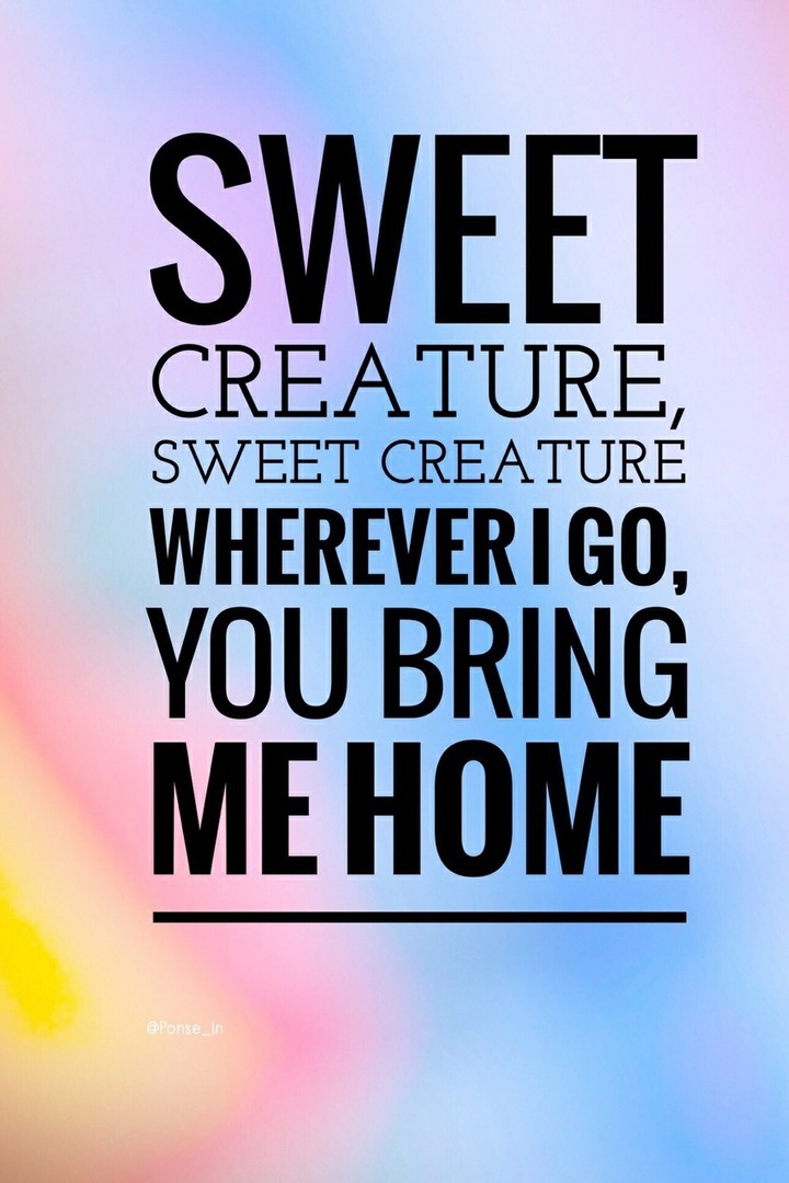 Sweet creature