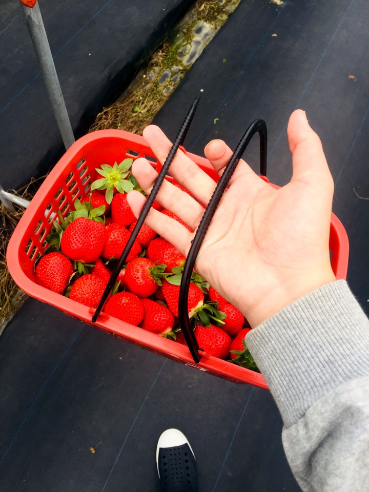 Strawberry