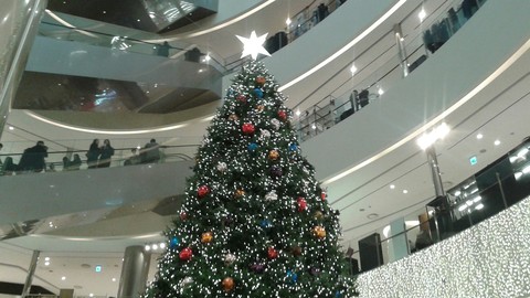 The christmas tree