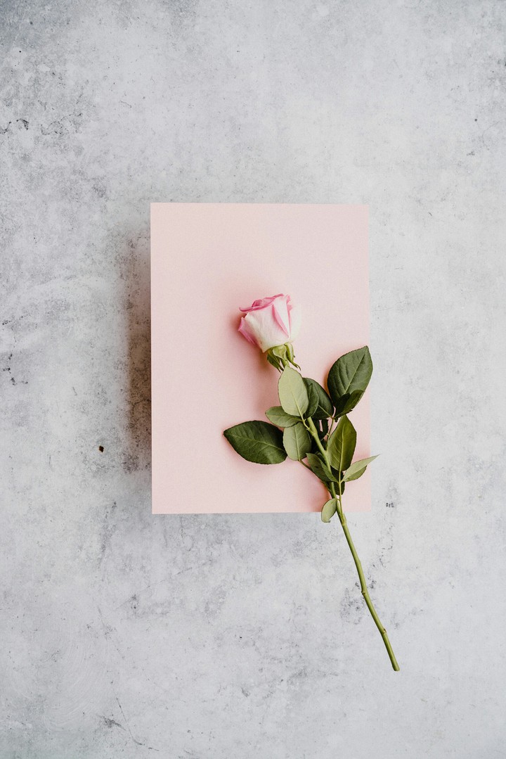 pink❤