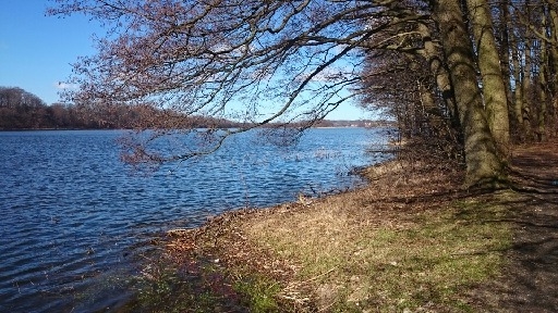 At the walk...